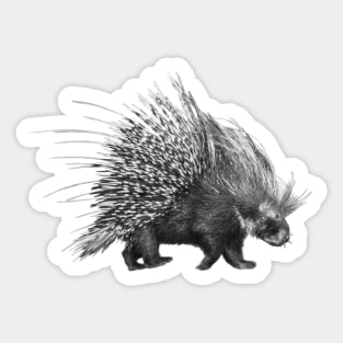 Porcupine with Extended Quills Sticker